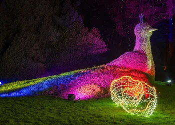 Insel Mainau mit Christmas Garden 