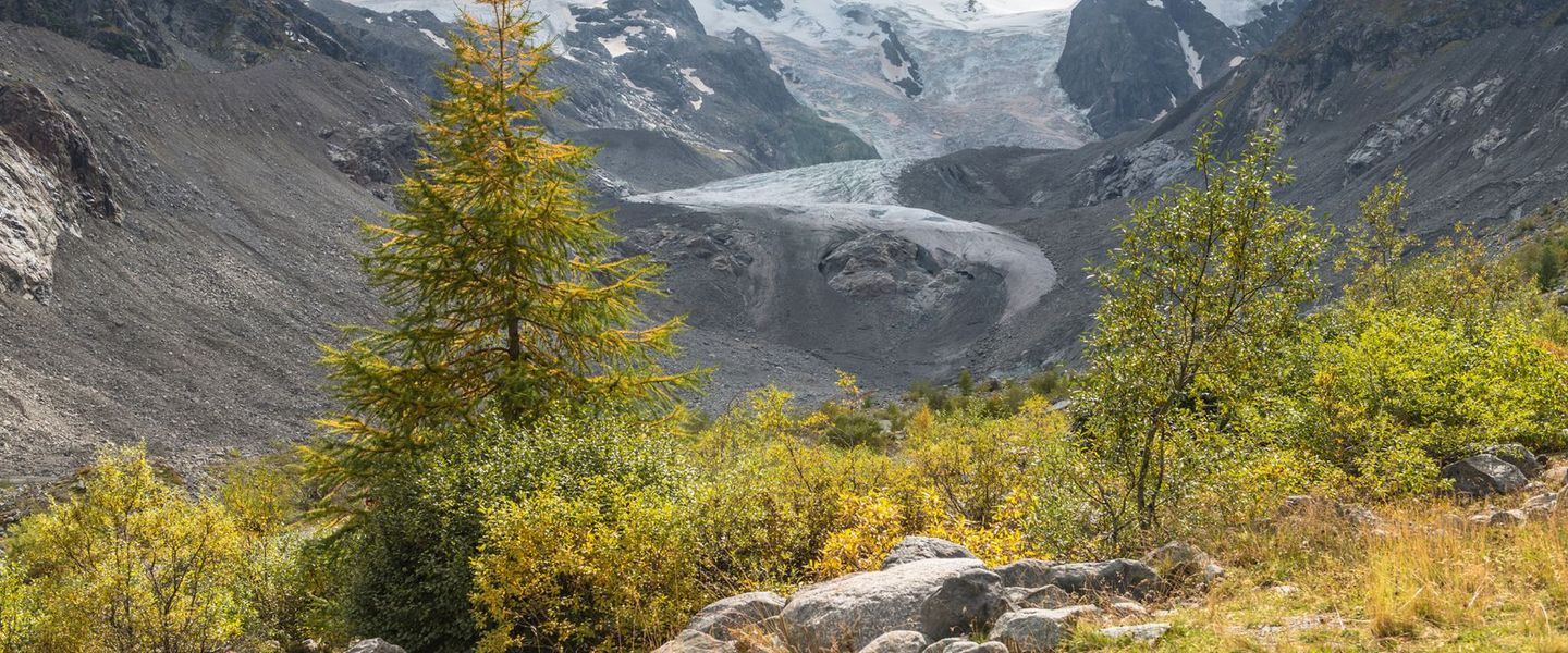 Der Glacier-Express ist ein auf den Tourismus ausgerichtetes Schnellzugangebot auf den Bahnnetzen der Rhätischen Bahn sowie der Matterhorn-Gotthard-Bahn in der Schweiz.