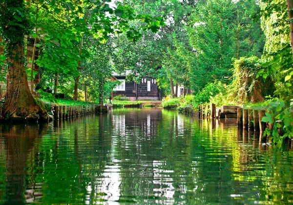 Hauptmerkmal ist die natürliche Flusslaufverzweigung der Spree, die durch angelegte Kanäle deutlich erweitert wurde. Als Auen- und Moorlandschaft besitzt sie für den Naturschutz überregionale Bedeutung und ist als Biosphärenreservat geschützt. Der S